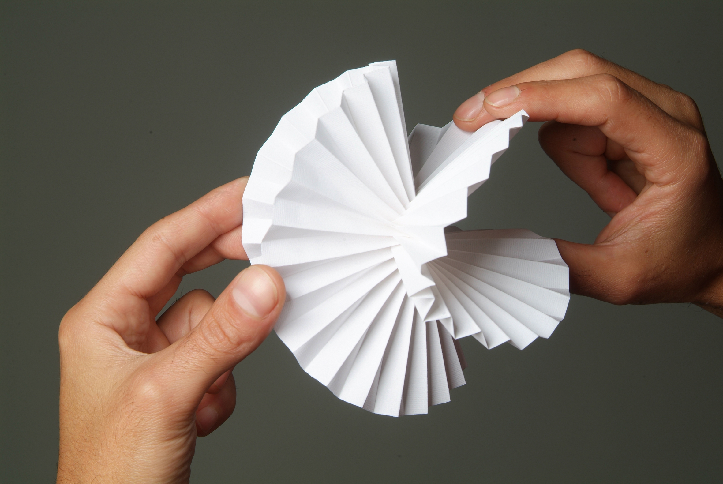 https://i2a.ch/from-sheet-to-form-a-folding-masterclass-with-paul-jackson